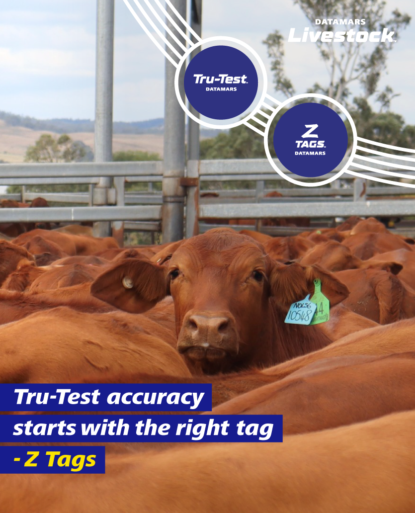 New WEB-BANNER-ZTAGS-CROSS-SELL-FOR-TRU-TEST-MOBILE-835x1032px