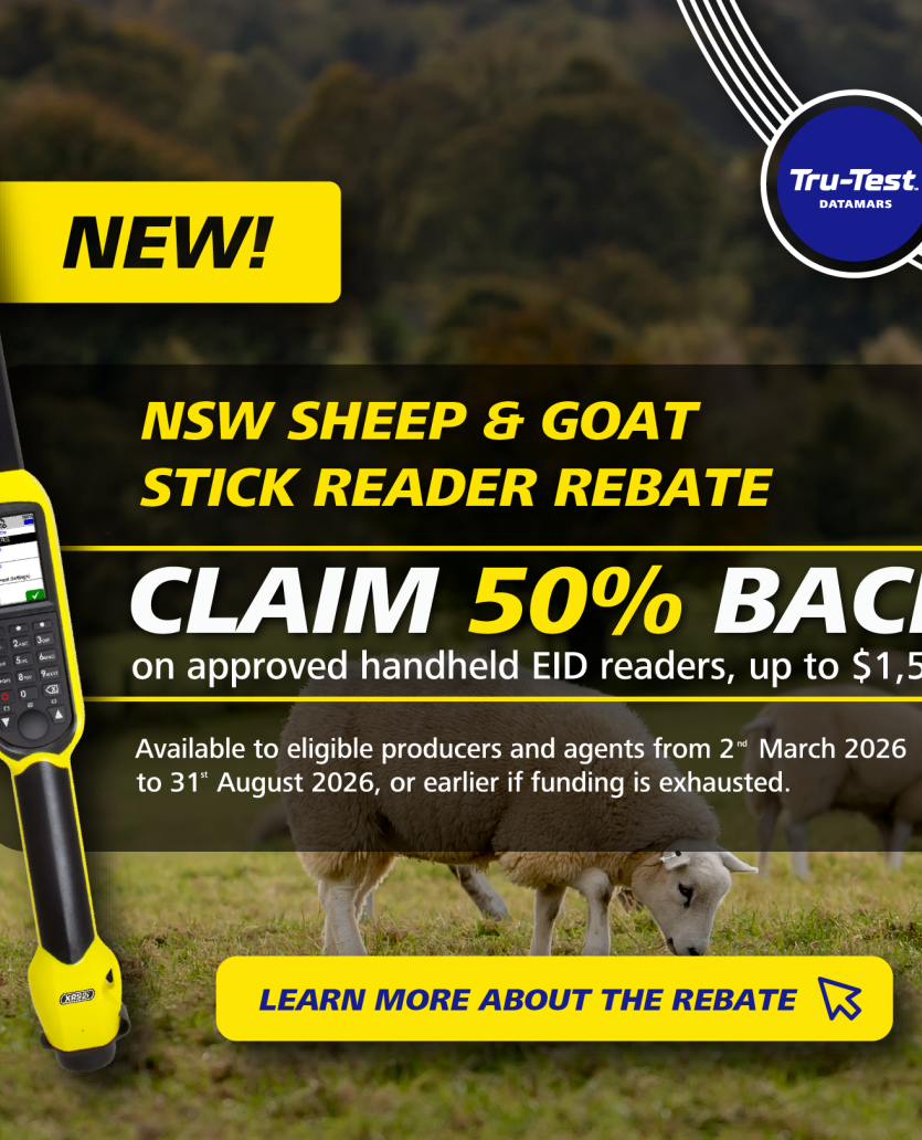 Website mobile banner.png