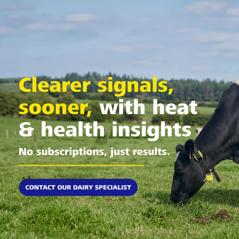 TT mobile web banner Oct26