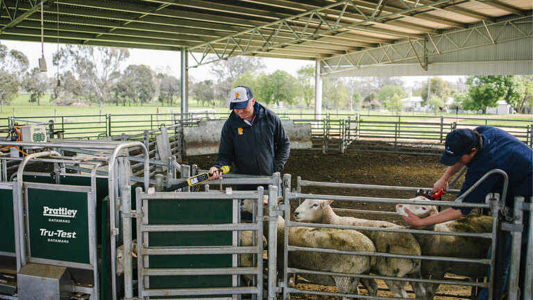 Handling Category Banner