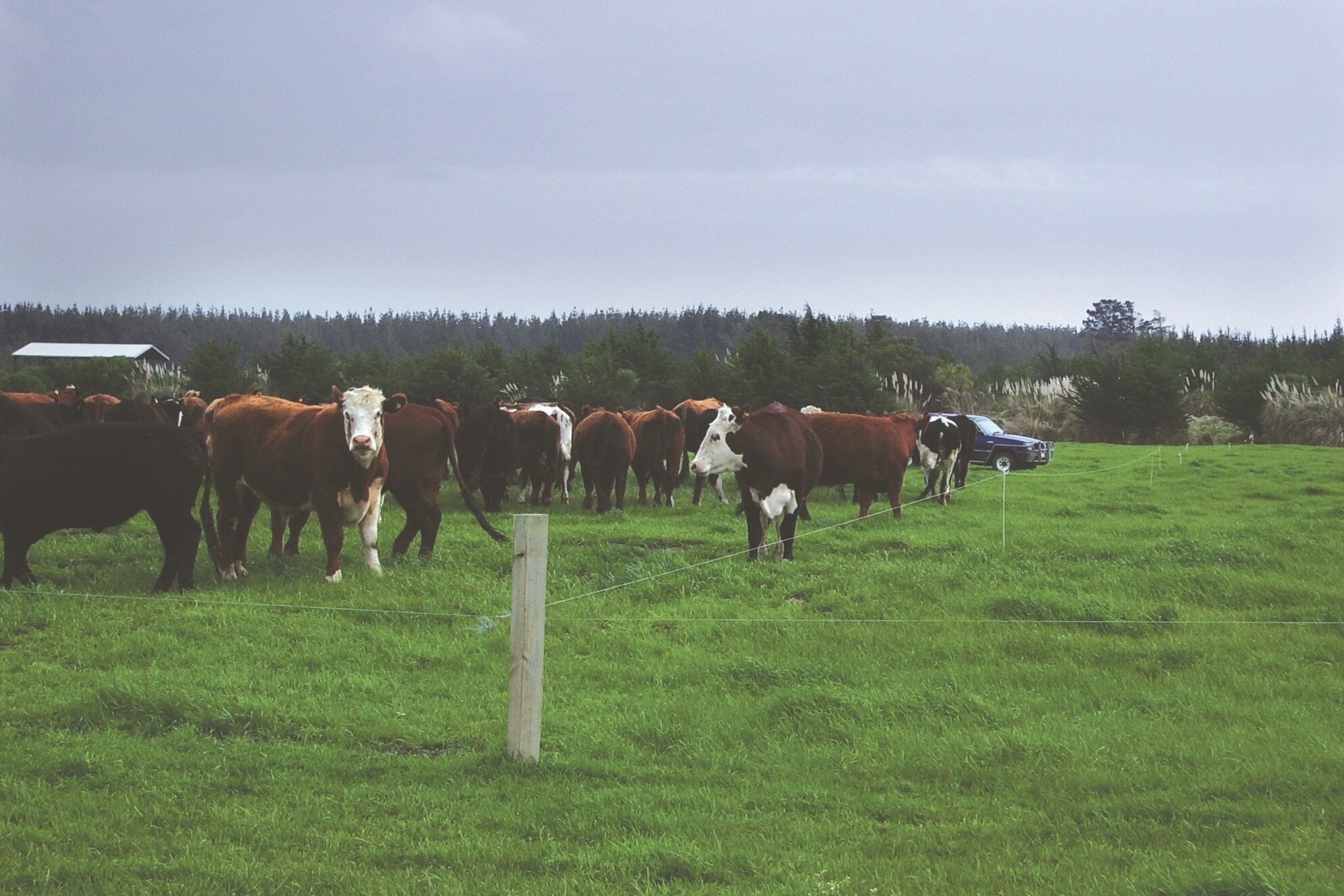 Equipment Highlights Best Genetics Case Study