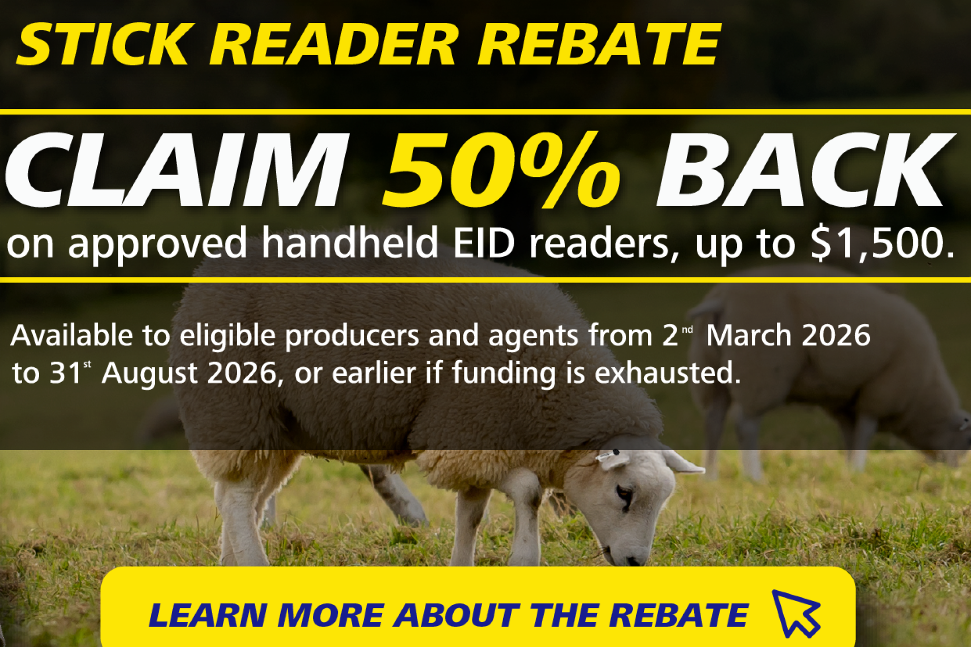 Image for news story