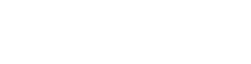 Speedrite logo