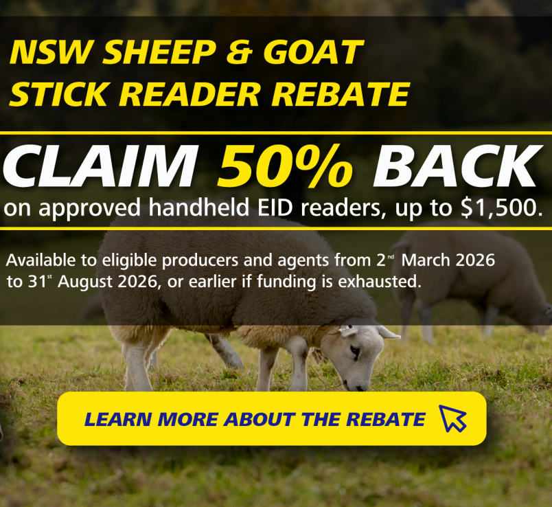 Image for news story