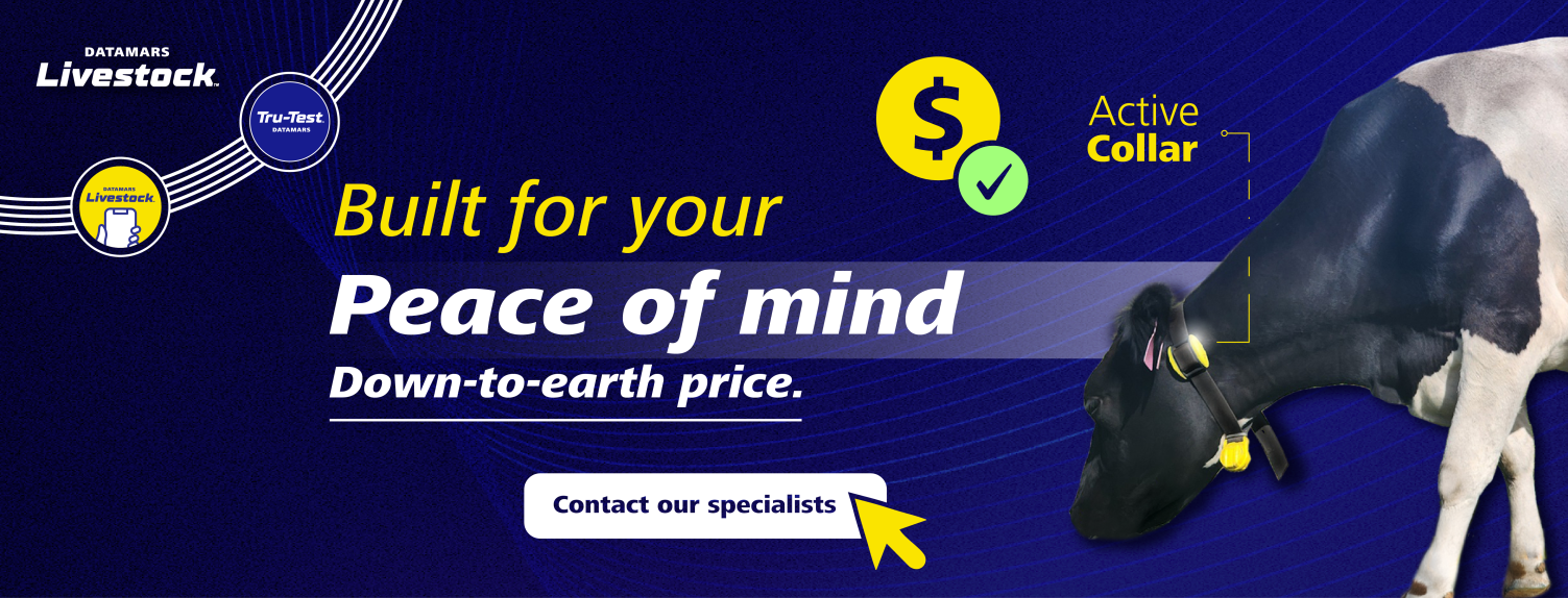 web banner smart farming