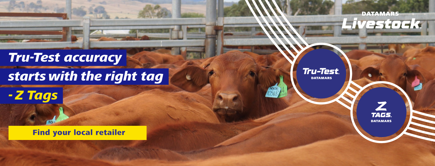 New WEB-BANNER-ZTAGS-CROSS-SELL-FOR-TRU-TEST-WEBSITE-1503x574px