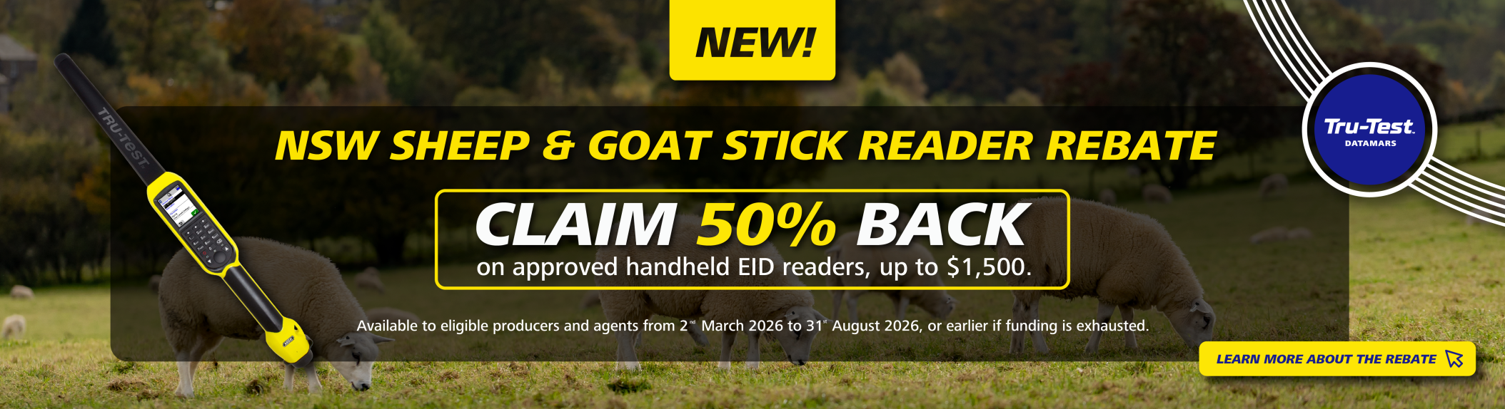 website banner - Desktop y mobile stick reader